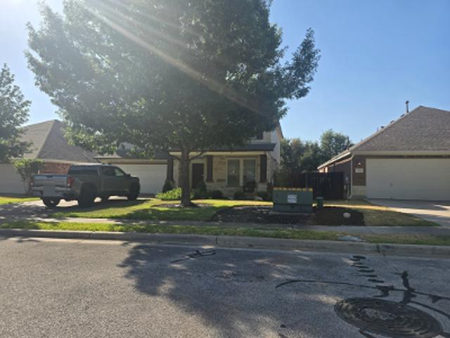 Pine Needle Cir