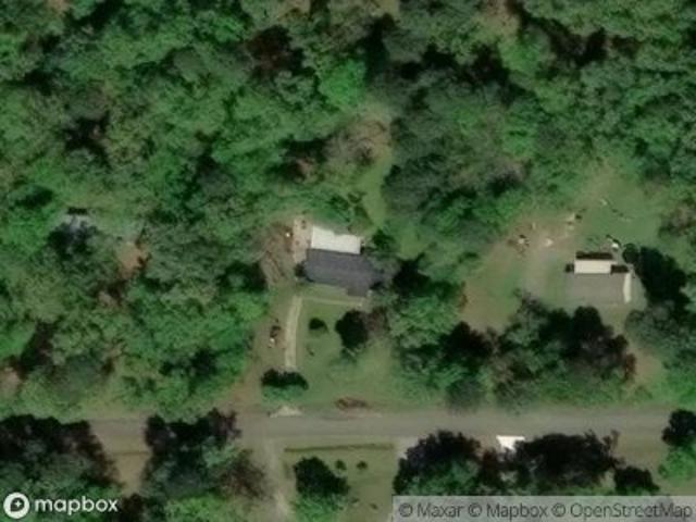 Pine Needle Dr