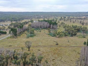 Pine Plantation Paradise 40 Hectares of Peace & Privacy