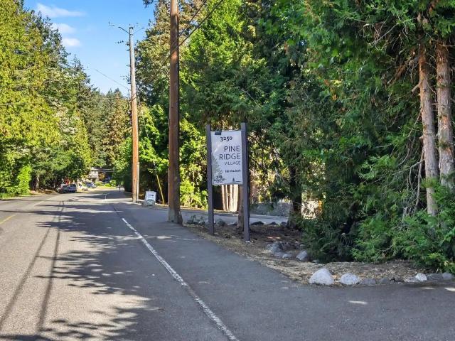 Pine Ridge Village