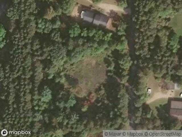 Pine Tree Dr