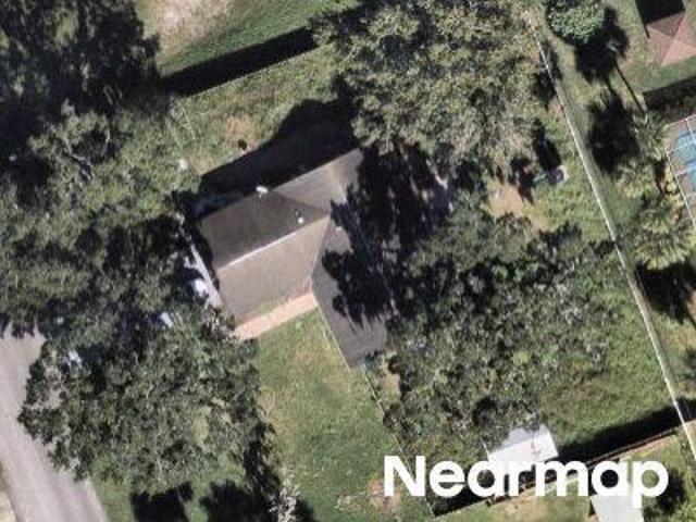 Pine Tree Dr