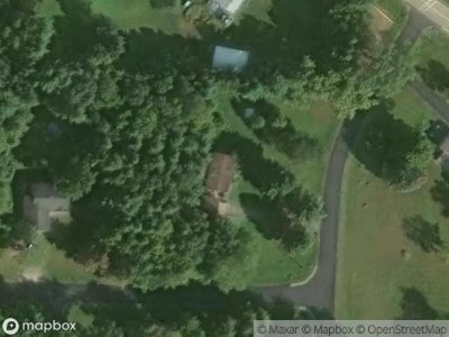 Pine Tree Ln