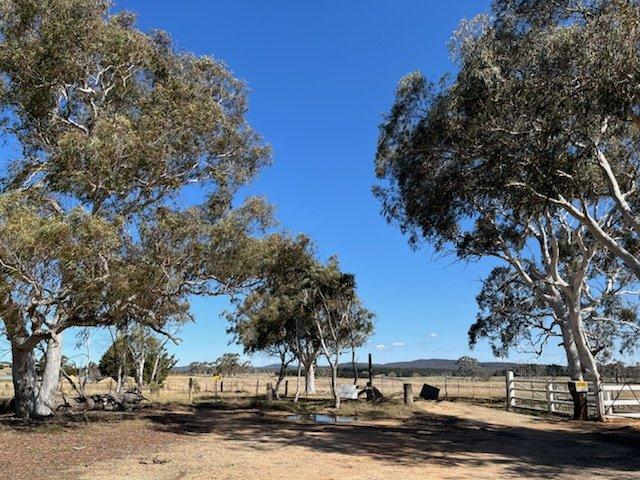 Pinebank 40 Acres with Building Approval New Before Offered For Sale