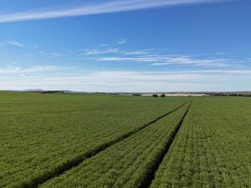 Appila, Mount Remarkable, South Australia, South Australia