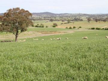 Booti Booti, Crawford River