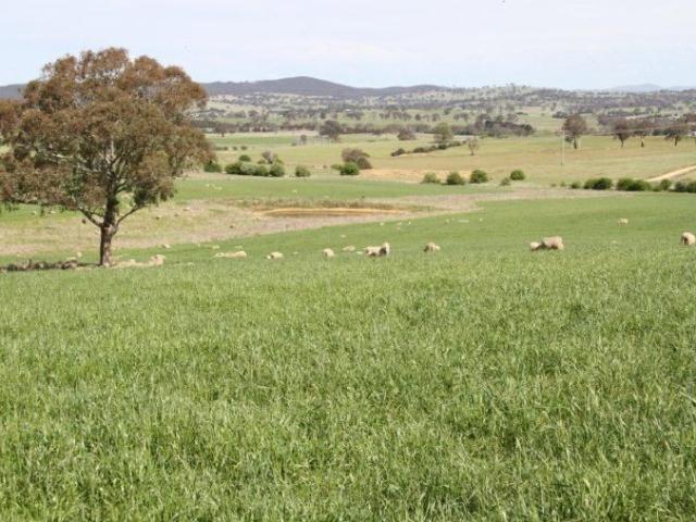 'Pinewood' 91 Ha 225 acres
