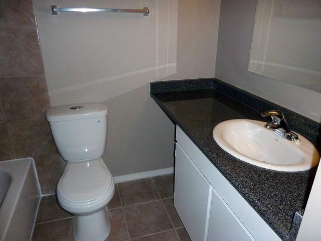 Pinetree Apartments — 1 bedroom