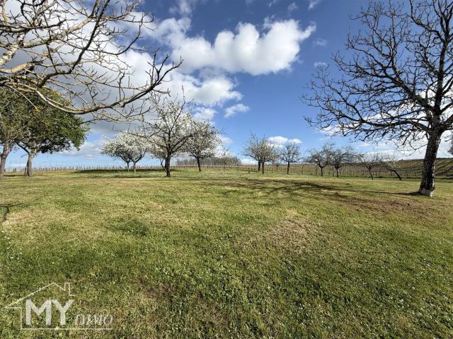 PINEUILH: Maison périgourdine avec dépendances et 7 000 m². 105m² Pineuilh
