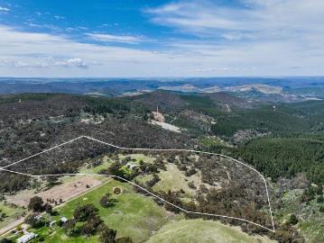Pineview 40 acres