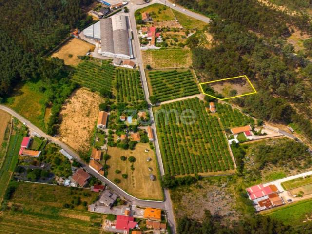 Pinhal, acesso betuminoso, Estrada Real, Recardães, Águeda