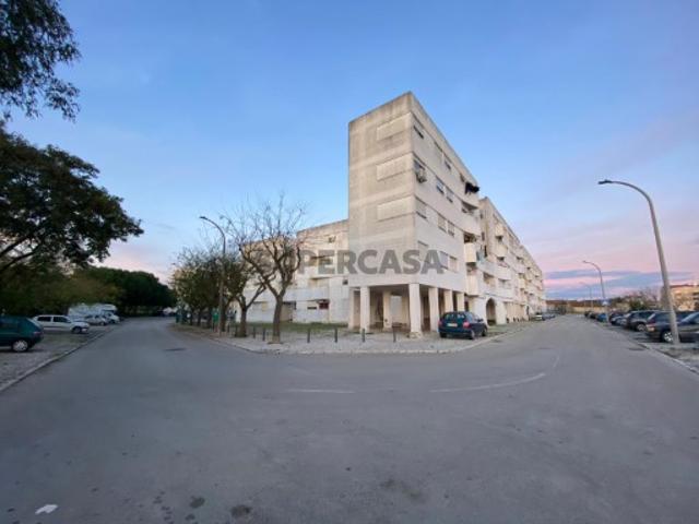 Pinhal Novo, Fonte da Vaca