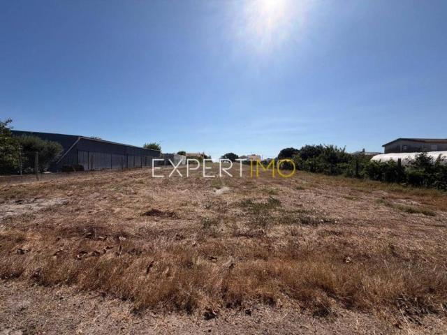 Pinhal Novo Setúbal 105435589