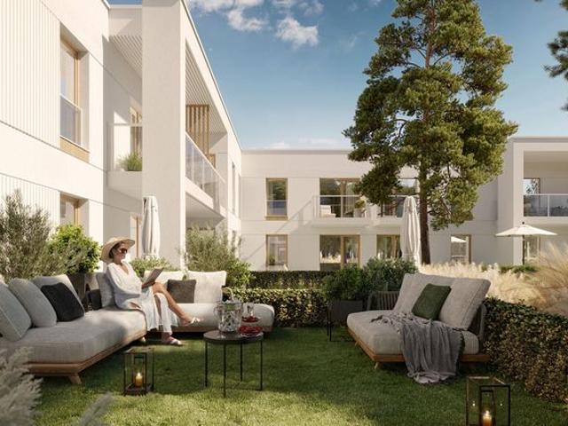 Pino Resort