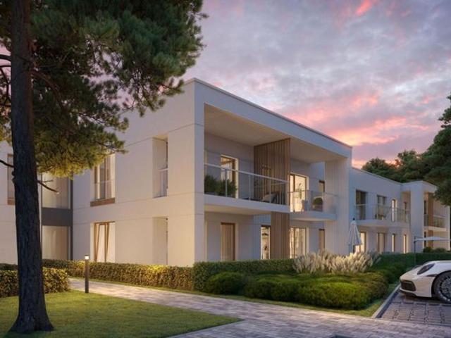 Pino Resort