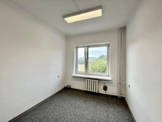 Piotrkowska 15 m², Łódź