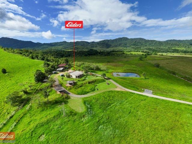 Picturesque 100 Acre Cattle Property with Stunning Mountain Views