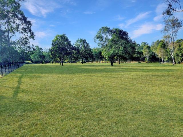 Picturesque 10.7 Parklike acres with house, sheds, stables & large dam