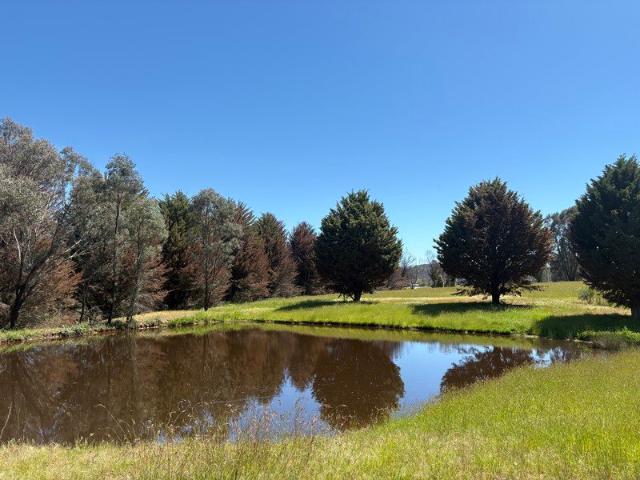 Picturesque 10 Acre Lifestyle Block!