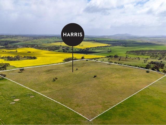 Picturesque 10 Hectare Lifestyle Property