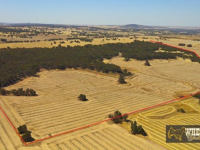 Picturesque 326 Acre Property