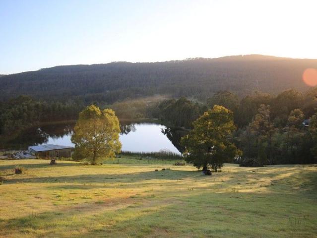 Picturesque Acacia Hills allotment
