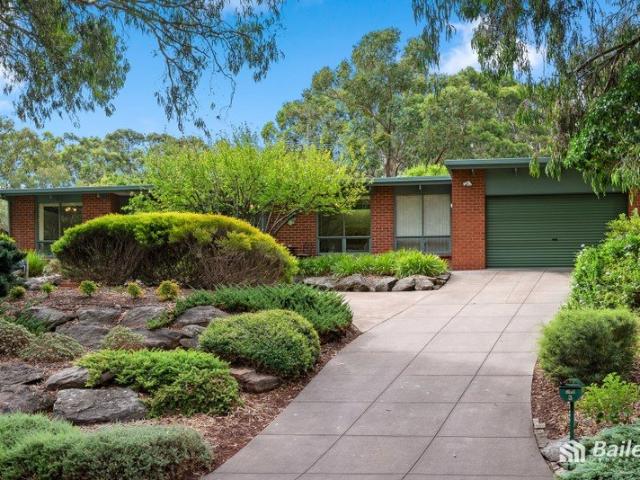 Picturesque Foothills Living