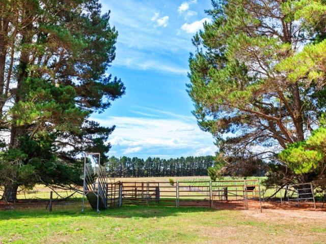 Picturesque Grazing Acres with Sapling Yard Creek Frontage