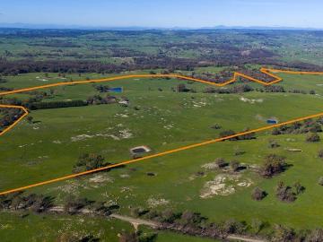 Picturesque Grazing Property on Approx. 130.18ha 321.68 Acres