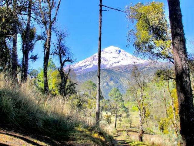 Pico de Orizaba, Terreno de 22,000m2 en las faldas del volcán más alto de México