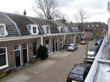 Wilhelminapark, Hagelbuurt - Tuin