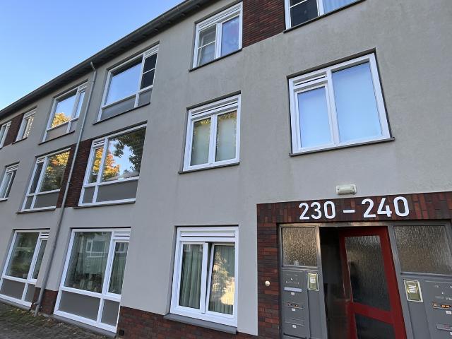 Pieter Breughelstraat 232