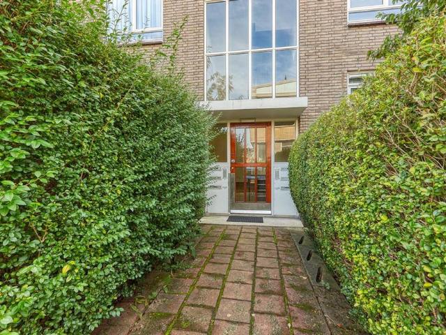 Pieter Meinersstraat 46