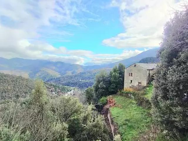 Pie d'Orezza 20229 Achat / Vente maison 7 pièces t7 jardin terrasse