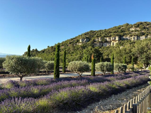 Pierre forte surplombant la vallée du Luberon 316m² Bonnieux