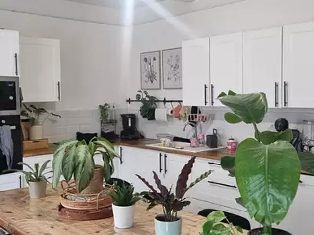 Pierrelatte 26700 Achat / Vente maison 6 pièces t6 terrasse