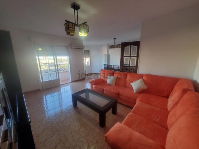 Piso, Malagon