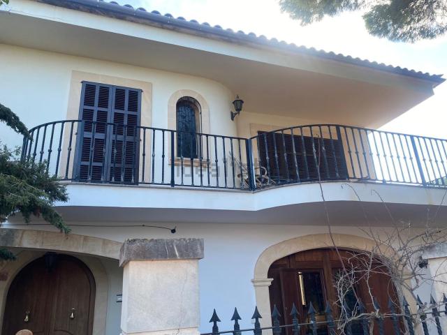 Piso, Manacor