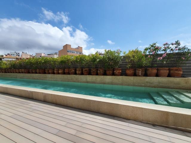 Piso, Marqués de la Fontsanta, Palma de Mallorca
