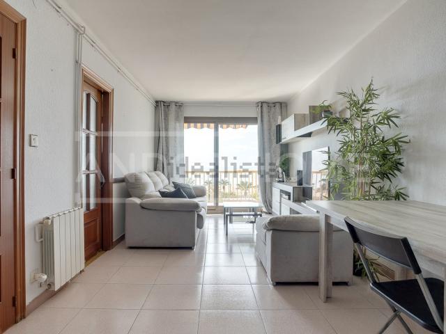 Piso, Mataró