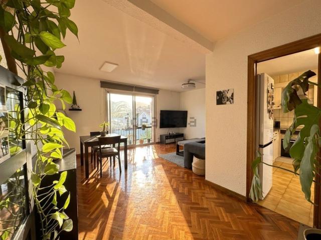 Piso, Molins de Rei