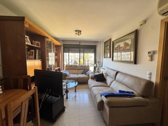 Piso, Olot