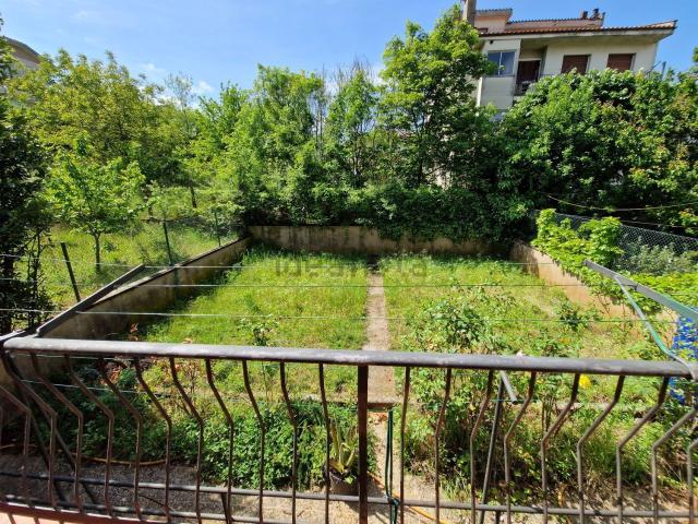 Piso, Olot