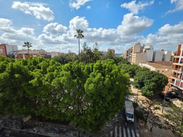 Piso, Orihuela