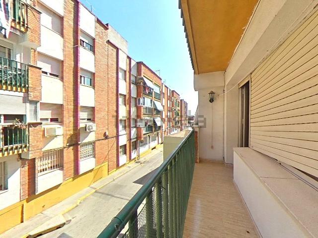 Piso, Orihuela
