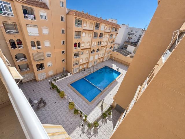 Piso, Avenida Habaneras Curva de Palangre, Torrevieja