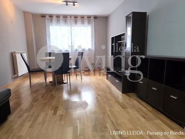 Piso, Alcoletge