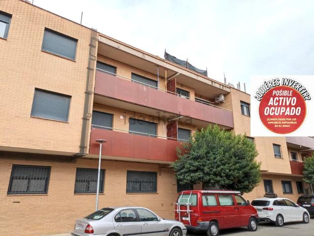 Piso, Alcoletge