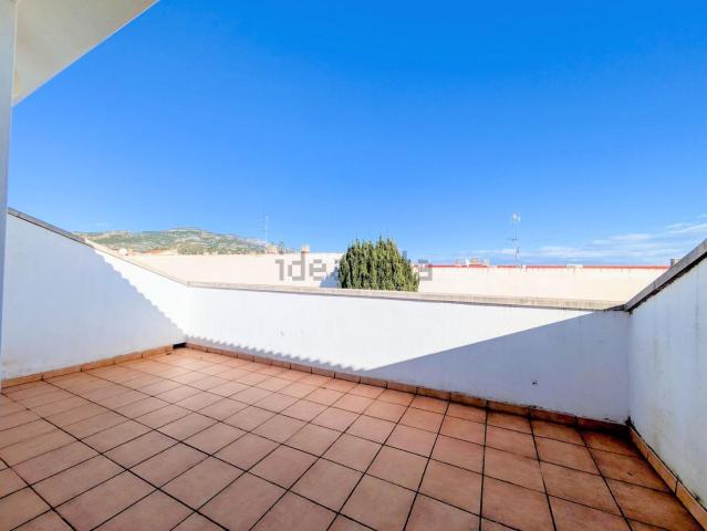 Piso, Alcanar