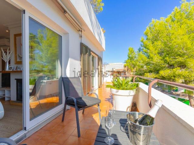 Piso, Alcúdia